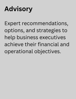 Advisory Expert 3rd party strategic guidance and projects for businesses and organizations to meet their business, finance and operational objectives